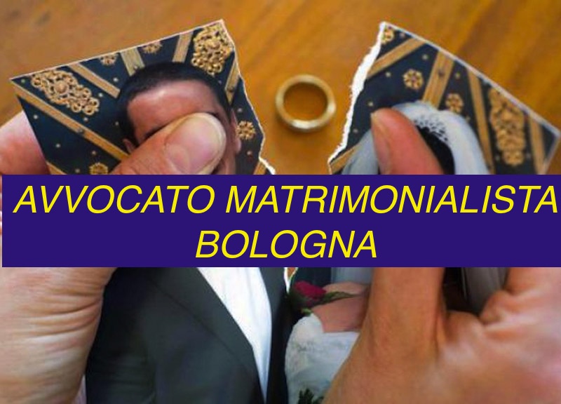 avvocato matrimonialista Bologna giudiziale Bologna